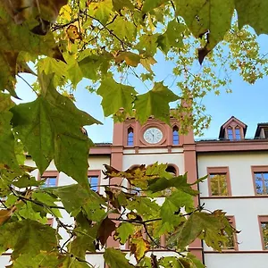 Odelya - Stadthotel Im Park Basilea